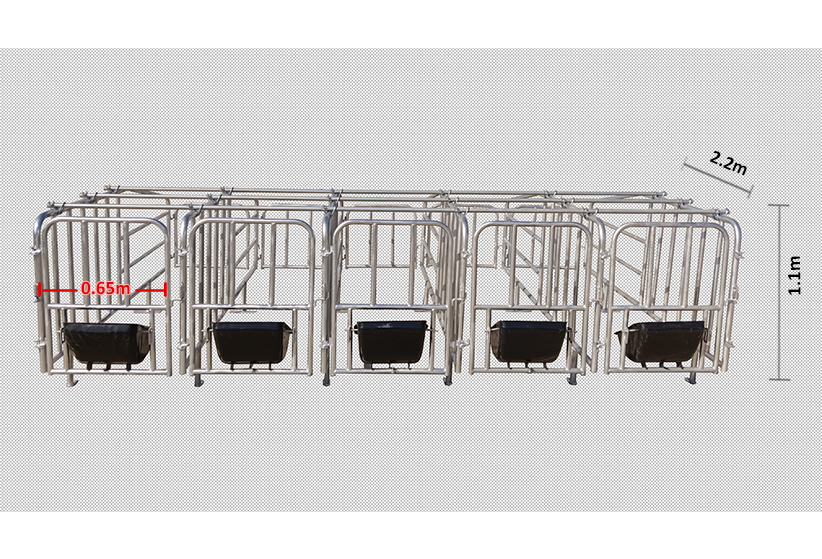 Pig Gestation Crates Pig Gestation Crates