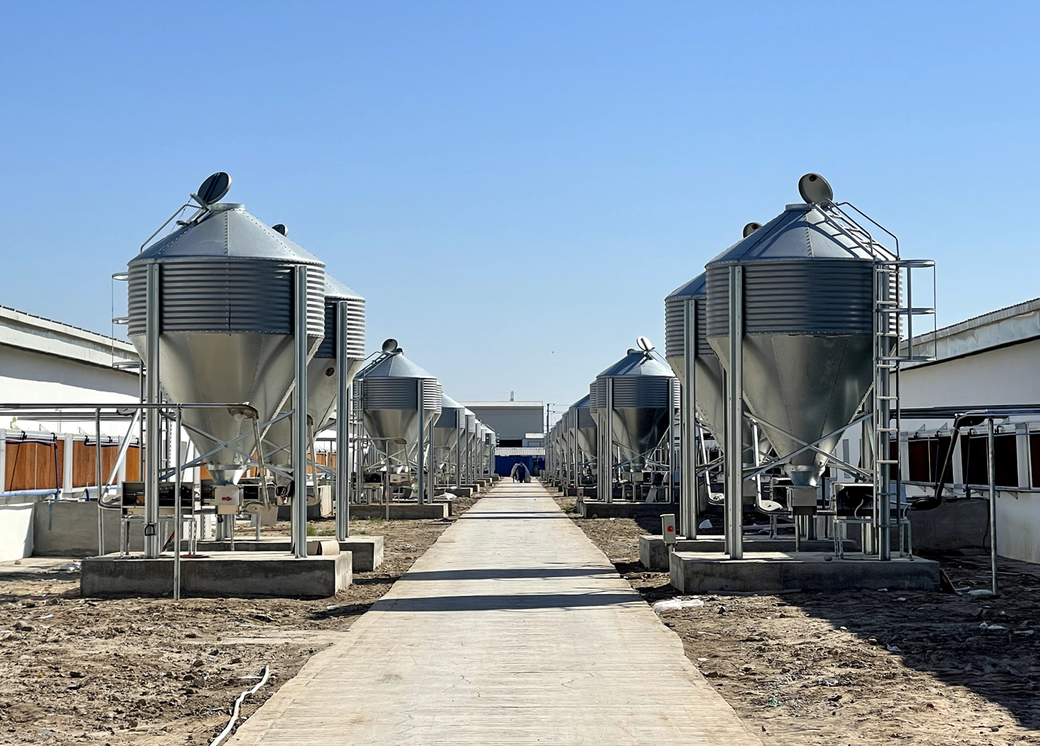 Pig Nursery Feeder