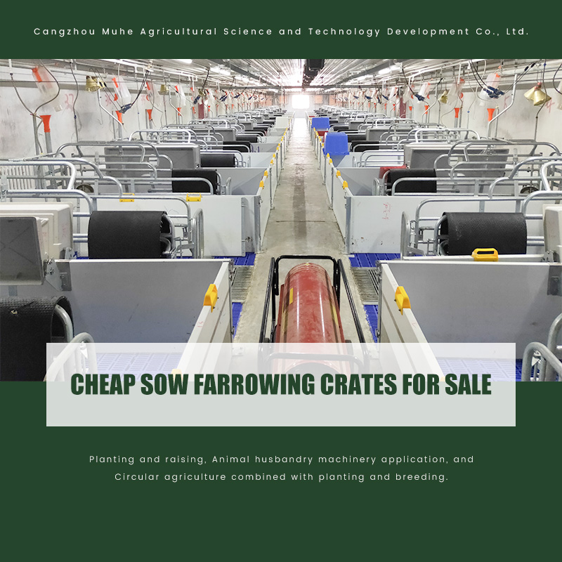 Cheap Sow Farrowing Crates For Sale